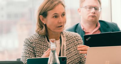 RCVS questions CMA governance comments