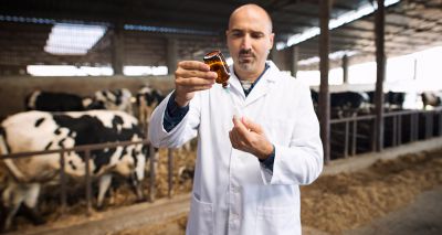 Veterinary antibiotic sales at record low, report shows