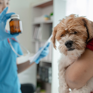 FIVP warns of remedy dangers in CMA response