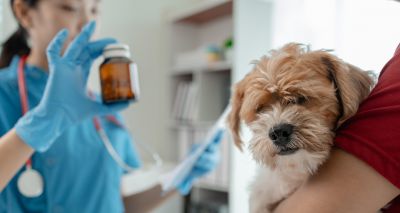 FIVP warns of remedy dangers in CMA response