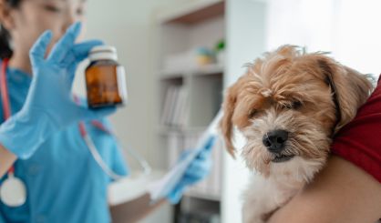 FIVP warns of remedy dangers in CMA response