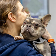 RSPCA welcomes dog breeding assessment tool