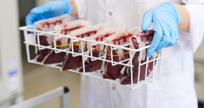 Pet Blood Bank makes 'urgent' appeal for donor dogs