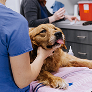 Joint CMA response labels remedies 'disproportionate'