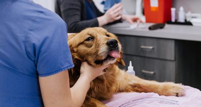 Joint CMA response labels remedies 'disproportionate'