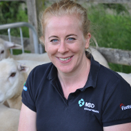 MSD Animal Health launches FlockCheck 2026