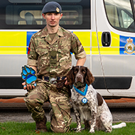 Military police dog scoops national award