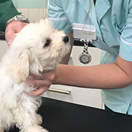 MMI awards more funding for VN mental health