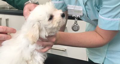 MMI awards more funding for VN mental health