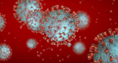 Avian flu viruses can withstand fever, study reveals