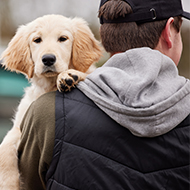 Scottish SPCA celebrates new Dog Theft Bill