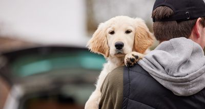 Scottish SPCA celebrates new Dog Theft Bill