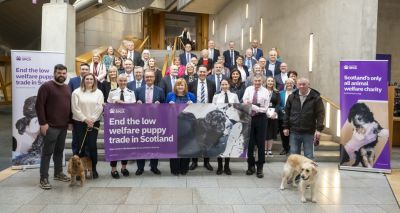 Campaigners call for end to Scottish low-welfare puppy trade