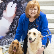 Campaigners call for end to Scottish low-welfare puppy trade