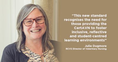 Updated framework for VN postgraduate qualifications