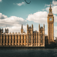 Consultation launched on Veterinary Surgeons Act reform