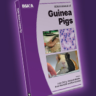 BSAVA announces new Manual of Guinea Pigs