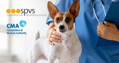 Independents need longer to implement CMA remedies - SPVS