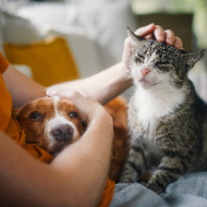 Animal owners sought to join public advisory panel