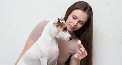 Study highlights environmental risks of isoxazoline