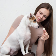 Study highlights environmental risks of isoxazoline