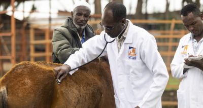 Brooke launches free app for training equine vets