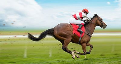 AI shows promise for fracture detection in animals