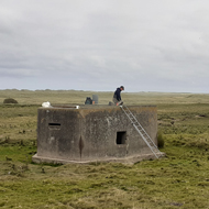 WWII pillboxes converted into common tern habitats