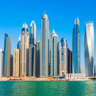 Animals could be 'forgotten victims' of Middle East conflict