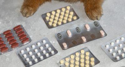 VMD publishes first Inspections and Enforcement report