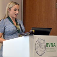 BVNA and BSAVA commend CMA's VN remedy