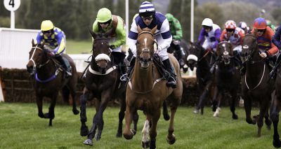 RSPCA issues statement ahead of Cheltenham Festival