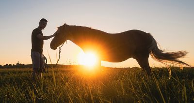 BEVA updates guidelines for equine euthanasia