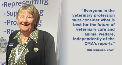 FIVP warns Veterinary Surgeons Act consult 'misrepresented'