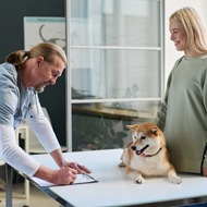 Survey seeks vet views on client communication