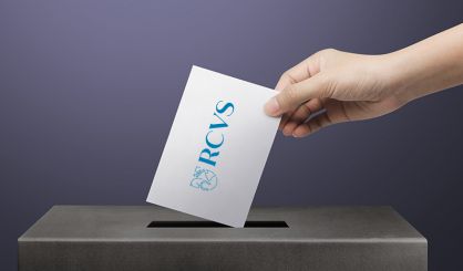 Voting opens for 2026 RCVS Council elections
