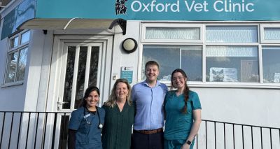 Oxford Cat Clinic welcomes dogs on 20th anniversary