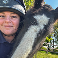 One-eyed pony 'thriving' after emergency treatment