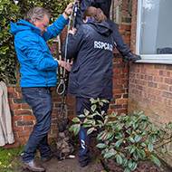Woman reunited with cat after four years