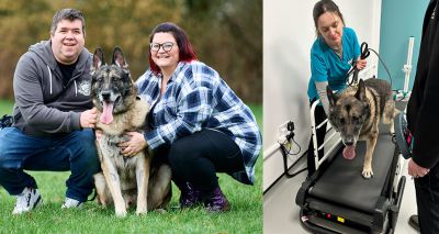 'Superhero' police dog saved thanks to specialist treatment