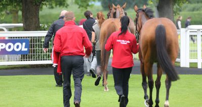 ECG test could highlight equine exercise arrhythmias