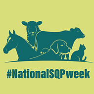 National SQP Week toolkit launched