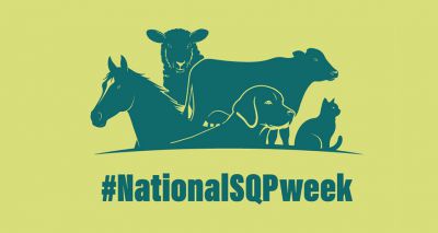 National SQP Week toolkit launched