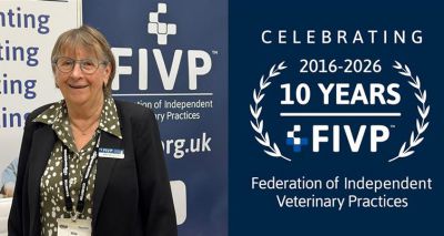 FIVP celebrating its 10th anniversary