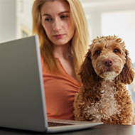 VMD launches digital adverse event reporting service
