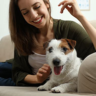 Renters' Rights Act could 