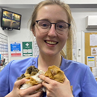 Finalists revealed for Young Vet of the Year 2026