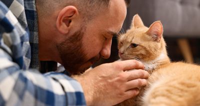 Hair-loss treatment poisoning cats, charity says