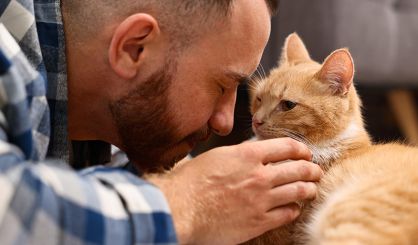 Hair-loss treatment poisoning cats, charity says