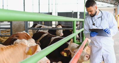 Defra shares new Sanitary and Phytosanitary guidance